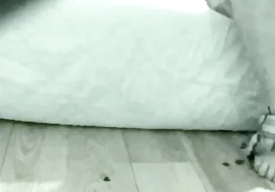 Stepdaddy's Soft Cock Premature Cumming Handsfree in 1 Min