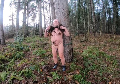 Dildo In The Wood 3
