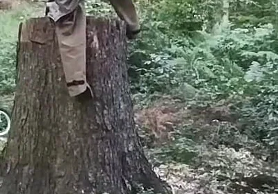 Stump Chase, Part One