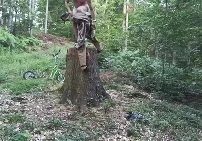 Stump Chase, Part One