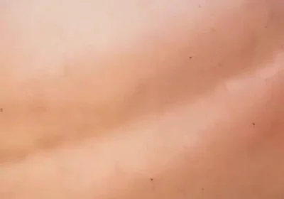 Muscled Guy Gets His Ass Ruined and Bred Bareback by His Next Door Neighbour