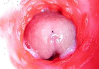 Camera Inside Anal: Almost Cum in Ass! Best Internal Asmr in 4K