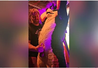 Blindfolded Canine Edged By Stepdaddy Bear Until He