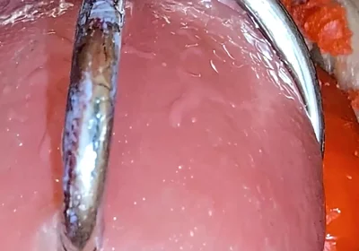 Close up Camera in Pussy: Cum Inside Pussy Twice! Best Creampie in 4K with Girl Moaning!