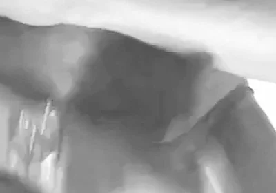 Black & White Black Muscle Daddy Edging and Cum