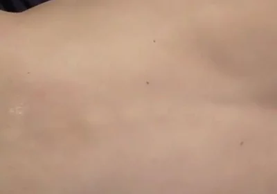 Bitch Training 101